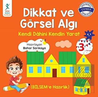 Dikkat ve Görsel Algı 3. Seviye