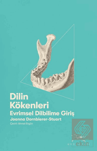 Dilin Kökenleri