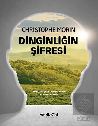 Dinginliğin Şifresi