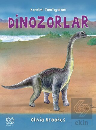 Dinozorlara Soralım