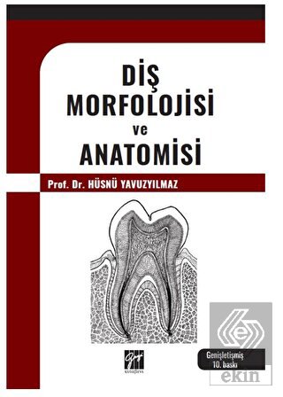 Diş Morfolojisi ve Anatomisi