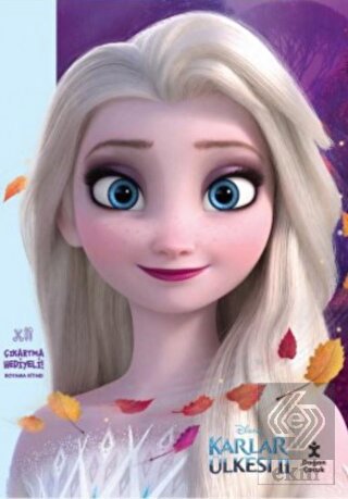 Disney Karlar Ülkesi 2 Çıkartma Hediyeli Boyama Ki