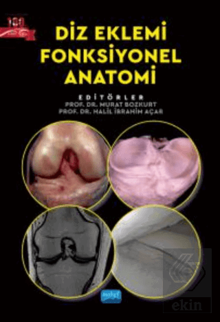 Diz Eklemi Fonksiyonel Anatomi