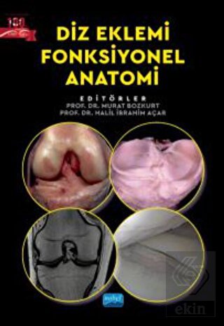 Diz Eklemi Fonksiyonel Anatomi