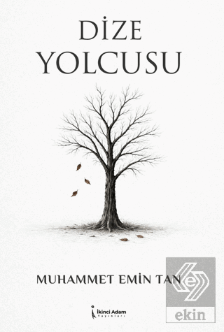 Dize Yolcusu