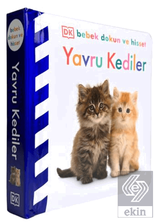 DK Bebek Dokun ve Hisset Serisi - Yavru Kediler