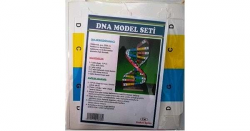 DNA MODEL SETİ