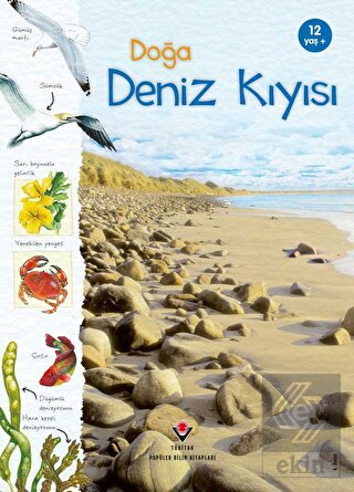 Doğa: Deniz Kıyısı