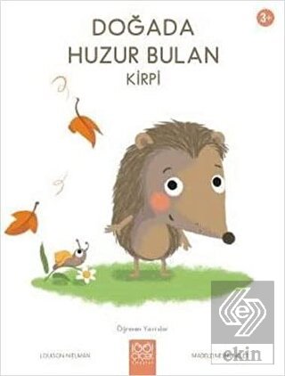 Doğada Huzur Bulan Kirpi