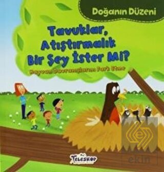 Doğanın Düzeni - Tavuklar Atıştırmalık Bir Şey İst