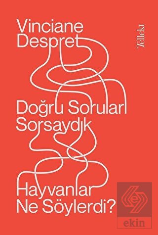 Doğru Soruları Sorsaydık Hayvanlar Ne Söylerdi?