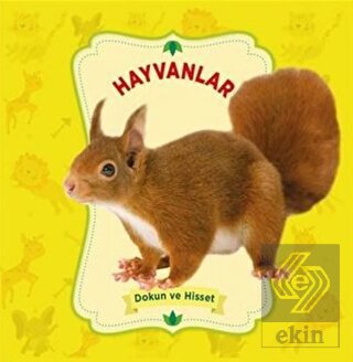 Dokun ve Hisset: Hayvanlar
