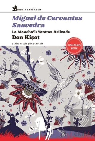 Don Kişot
