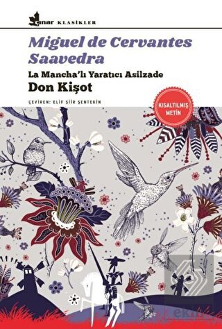 Don Kişot