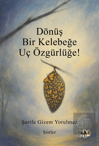 Dönüş Bir Kelebeğe Uç Özgürlüğe!