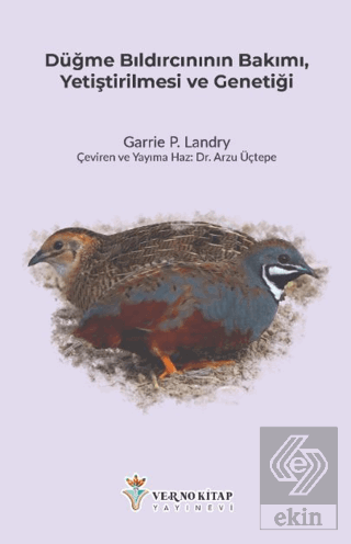 Düğme Bıldırcınının Bakımı, Yetiştirilmesi ve Genetiği