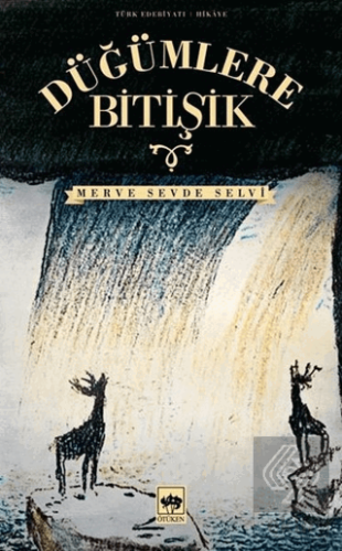 Düğümlere Bitişik