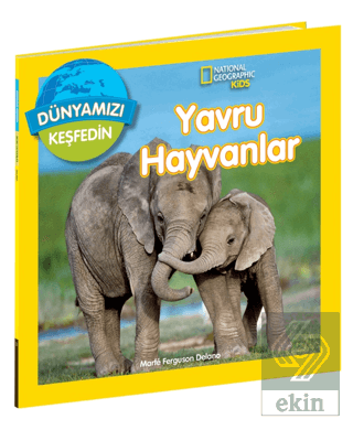 Dünyamızı Keşfedin - Yavru Hayvanlar