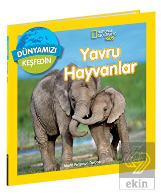 Dünyamızı Keşfedin - Yavru Hayvanlar