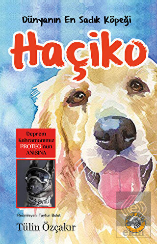 Dünyanın En Sadık Köpeği Haçiko