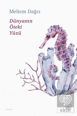 Dünyanın Öteki Yüzü