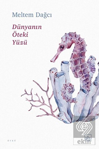 Dünyanın Öteki Yüzü