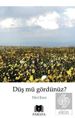 Düş mü Gördünüz?