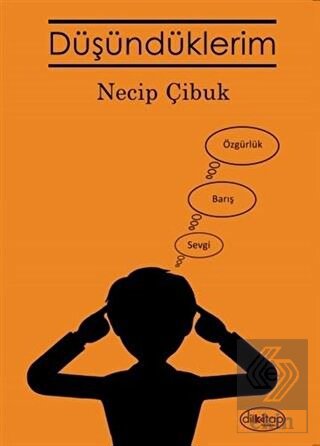 Düşündüklerim