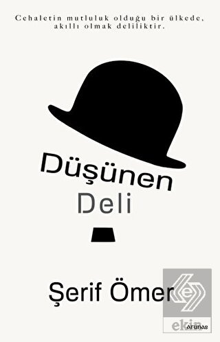 Düşünen Deli