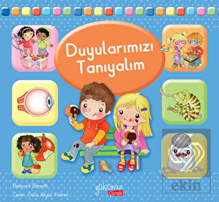 Duyularımızı Tanıyalım