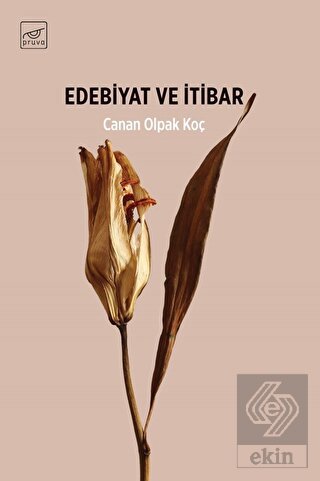 Edebiyat ve İtibar