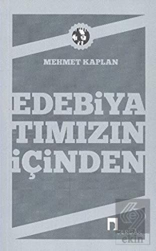 Edebiyatımızın İçinden