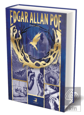 Edgar Allan Poe Öyküleri