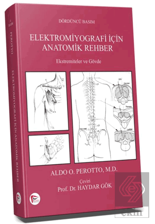 Elektromiyografi için Anatomik Rehber
