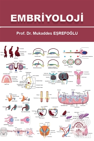 Embriyoloji