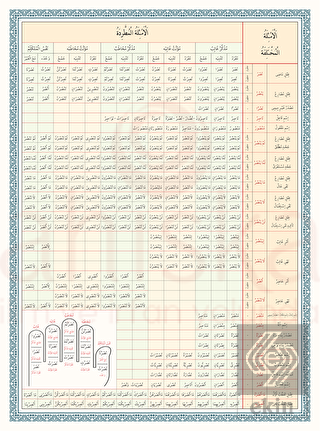 Emsile Bina Şeması Renkli