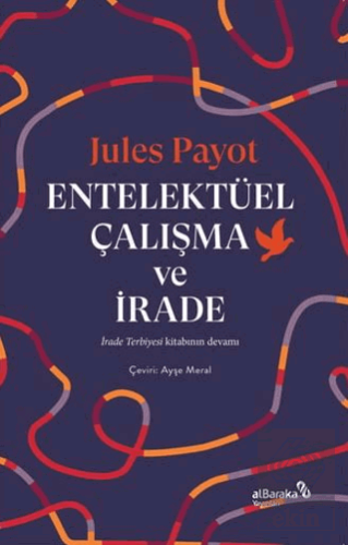 Entelektüel Çalışma ve İrade