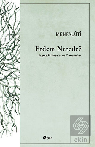 Erdem Nerede?