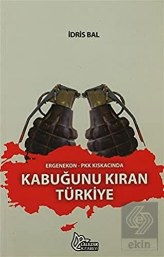 Ergenekon-PKK Kıskacında Kabuğunu Kıran Türkiye