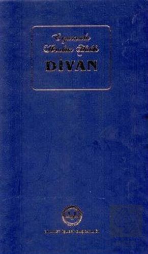 Erzurumlu İbrahim Hakkı Divan