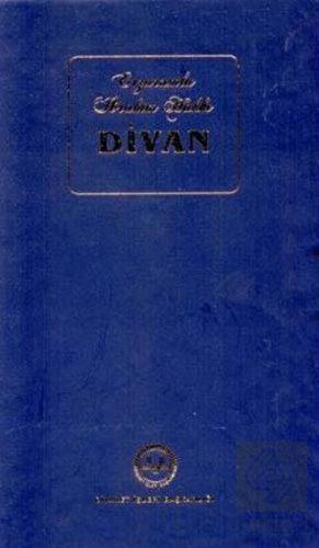 Erzurumlu İbrahim Hakkı Divan