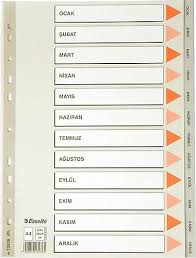 EsselteSeperatör A4 Aylar Gri