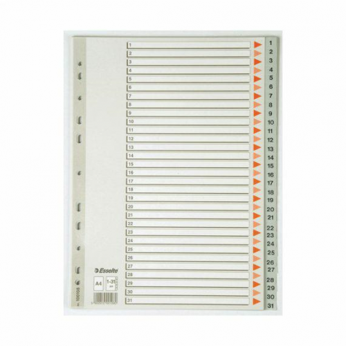 EsselteSeperatör A4 Aylar Gri