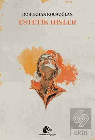 Estetik Hisler
