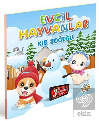 Evcil Hayvanlar Kış Soğuğu