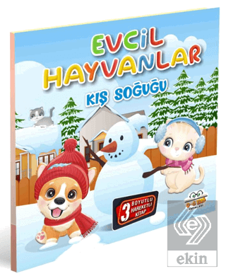 Evcil Hayvanlar Kış Soğuğu