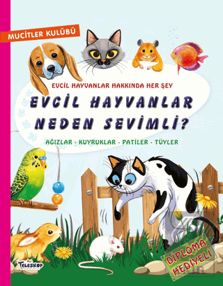 Evcil Hayvanlar Neden Sevimli?