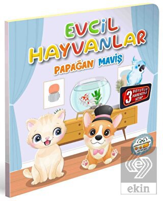 Evcil Hayvanlar Papağan Maviş
