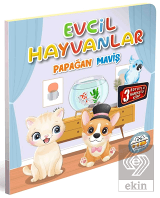 Evcil Hayvanlar Papağan Maviş