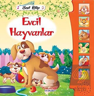 Evcil Hayvanlar - Sesli Kitap